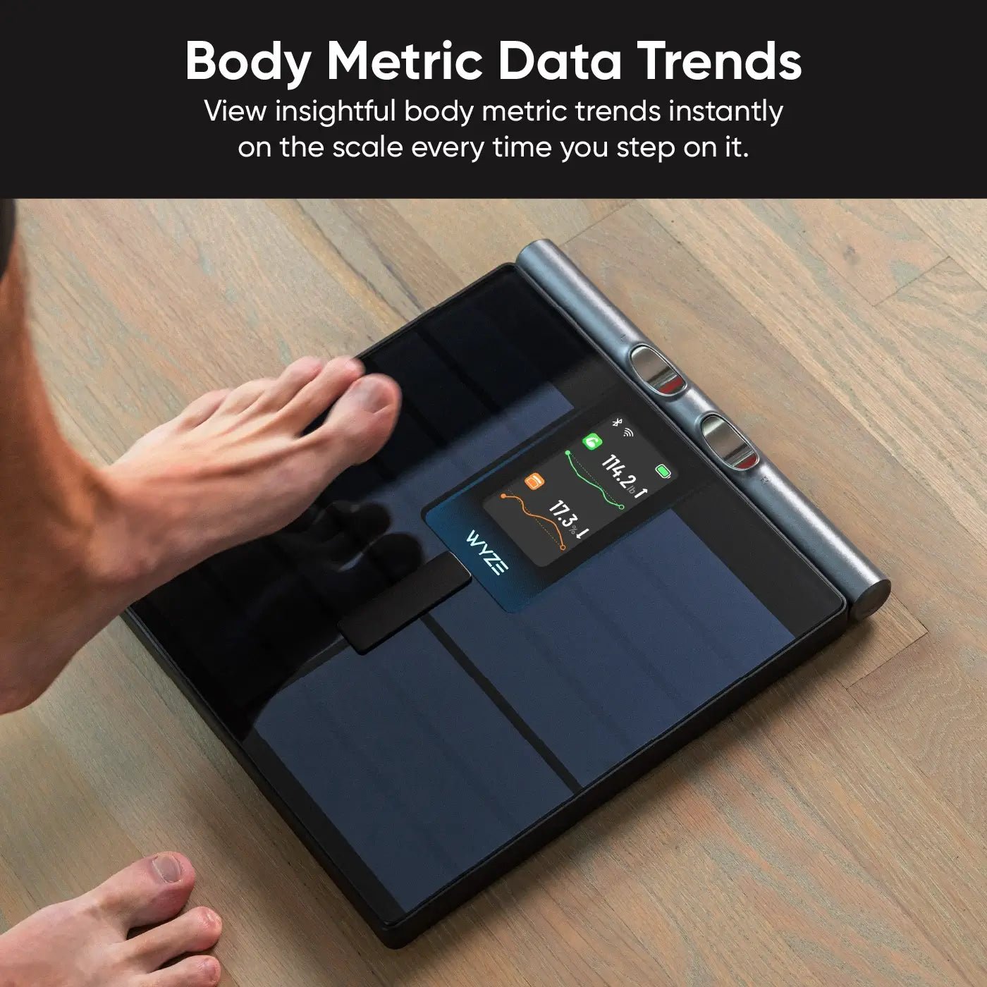 Wyze Scale Ultra BodyScan - Image 10